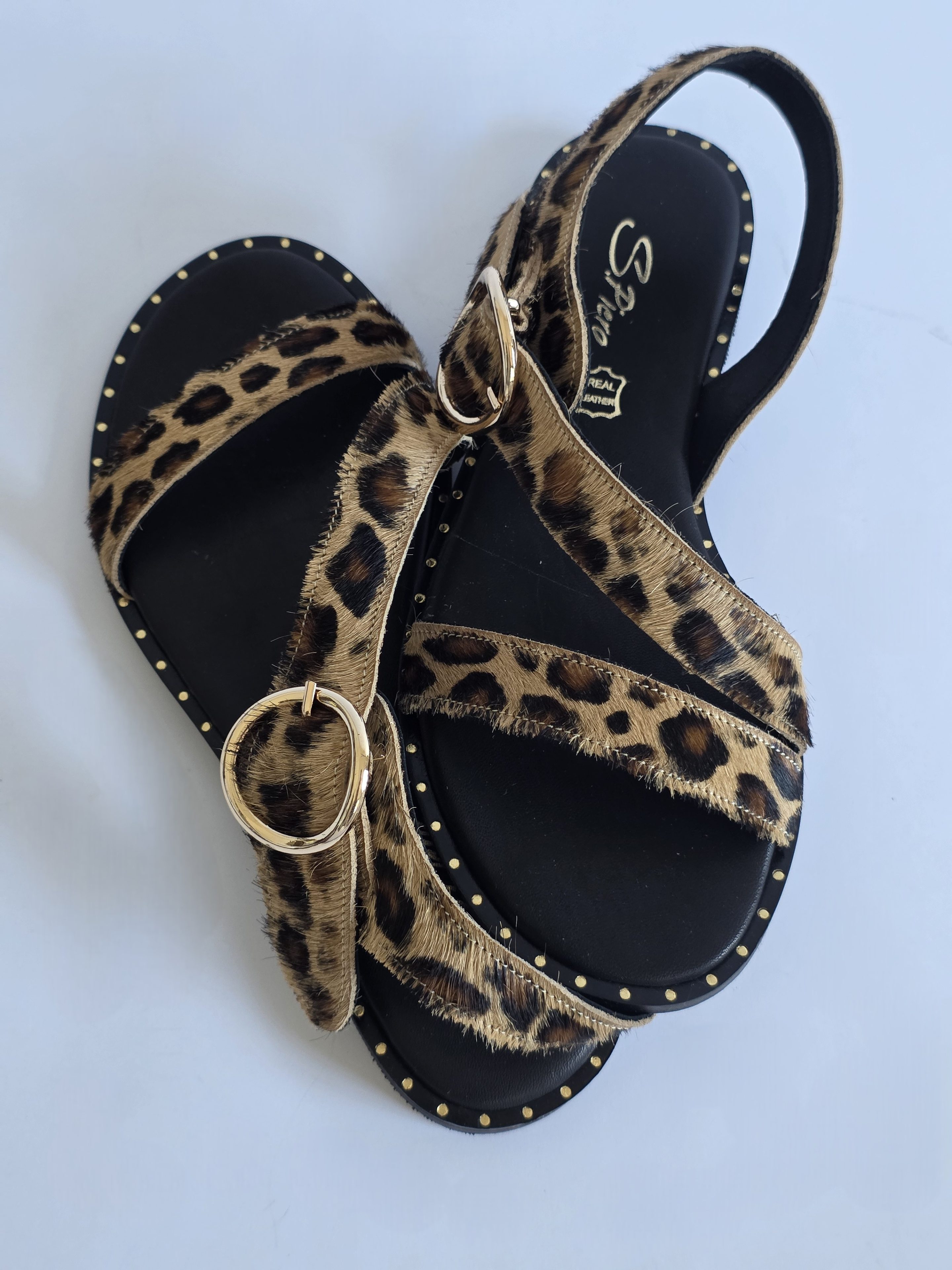 Atlas Leopard