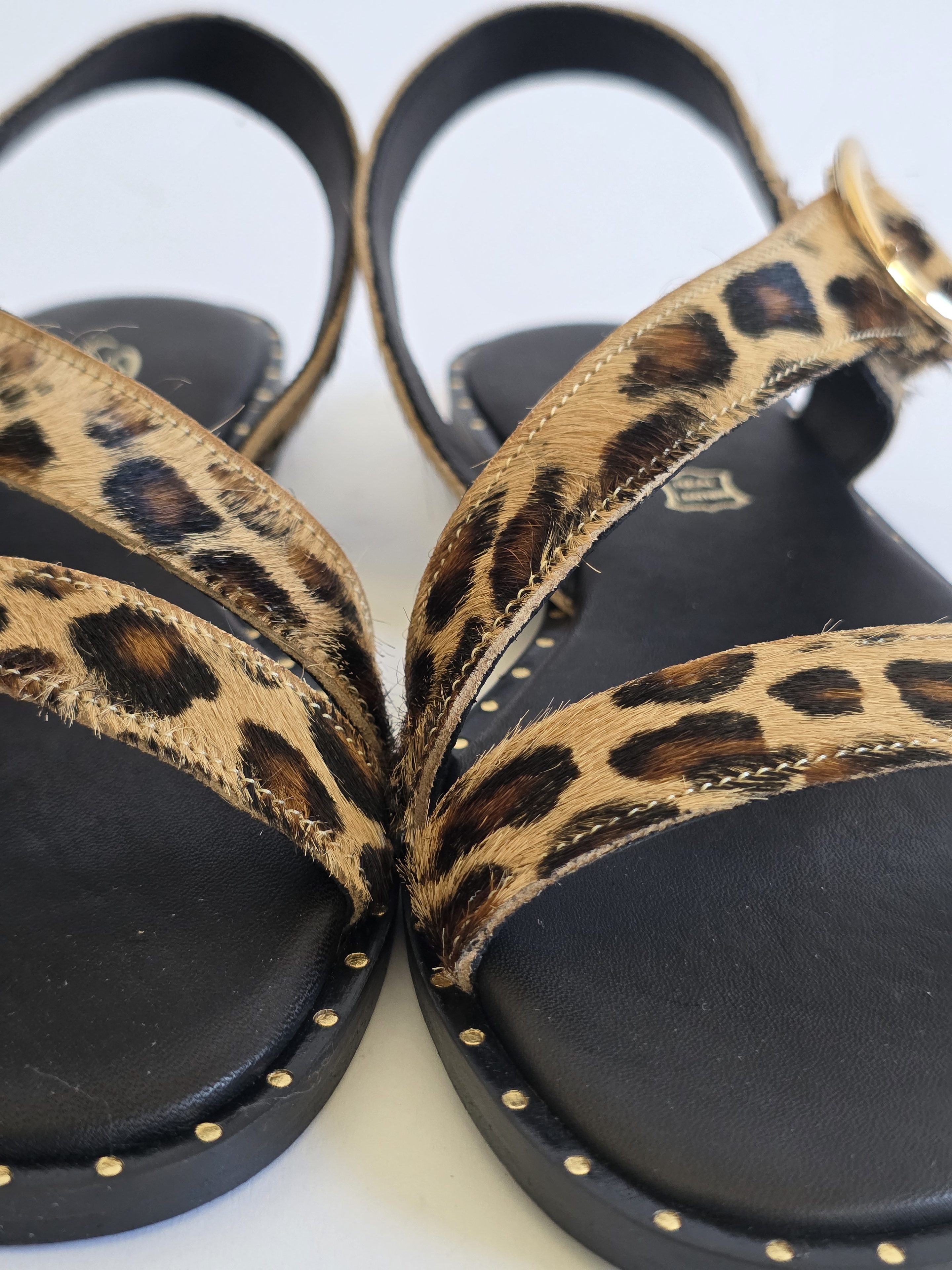 Atlas Leopard