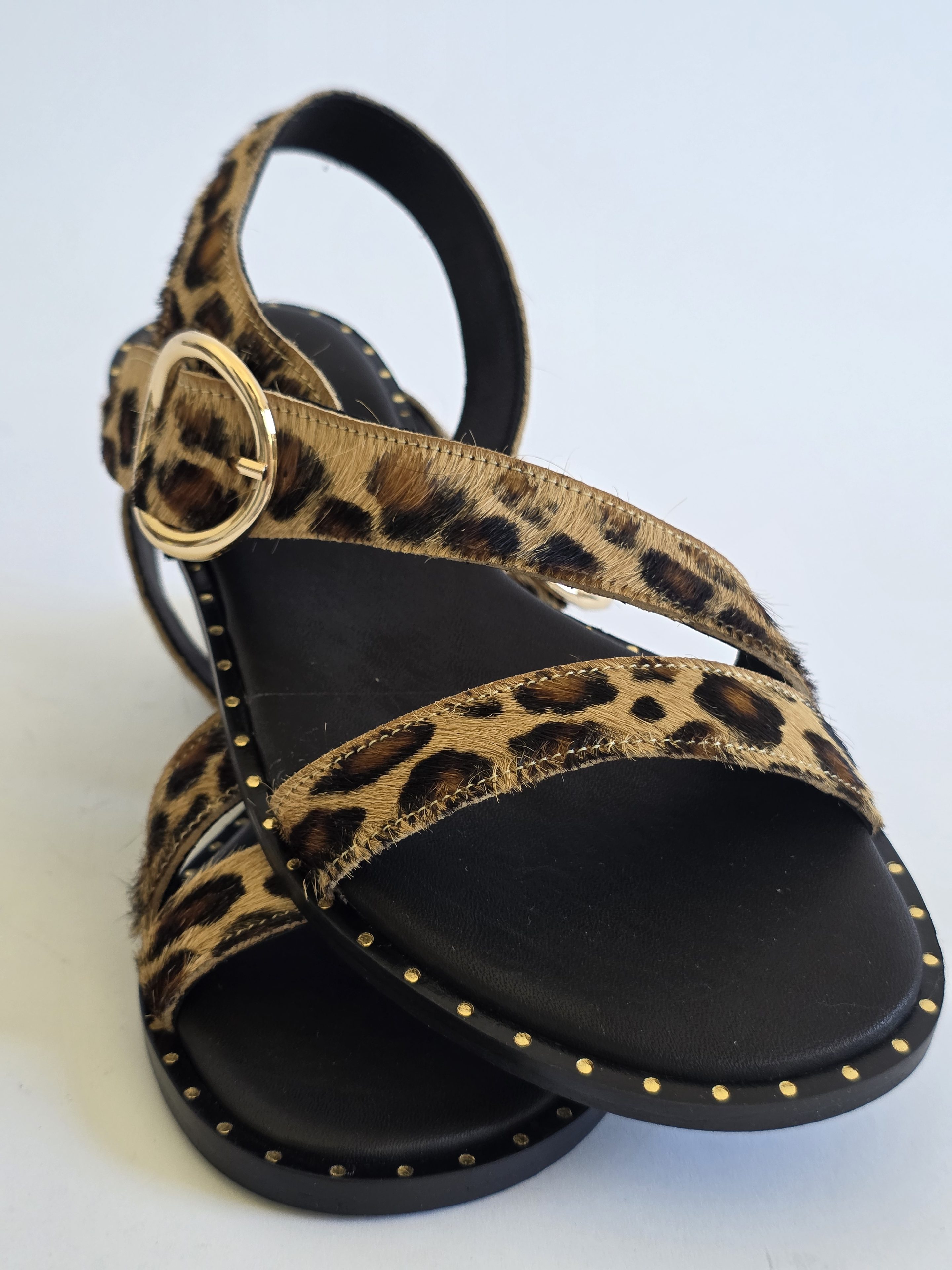 Atlas Leopard