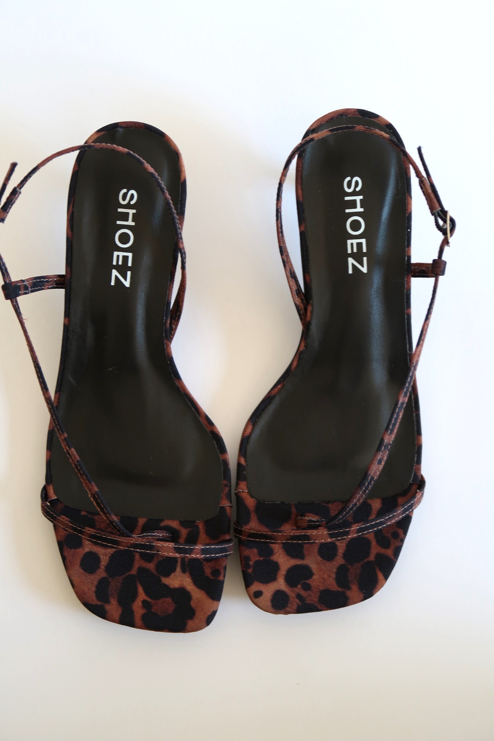Lucie Leopard