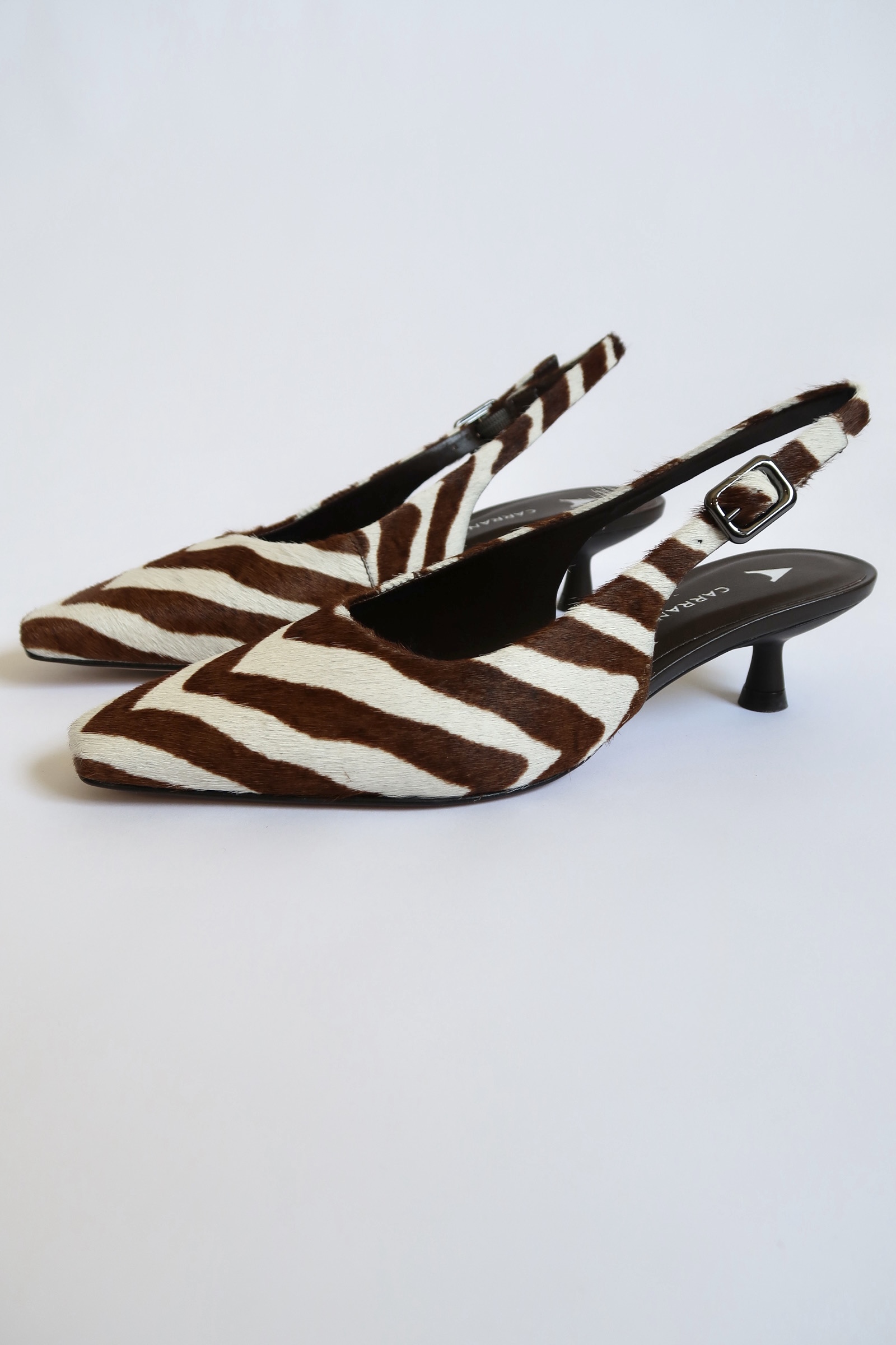 Tina Stripes