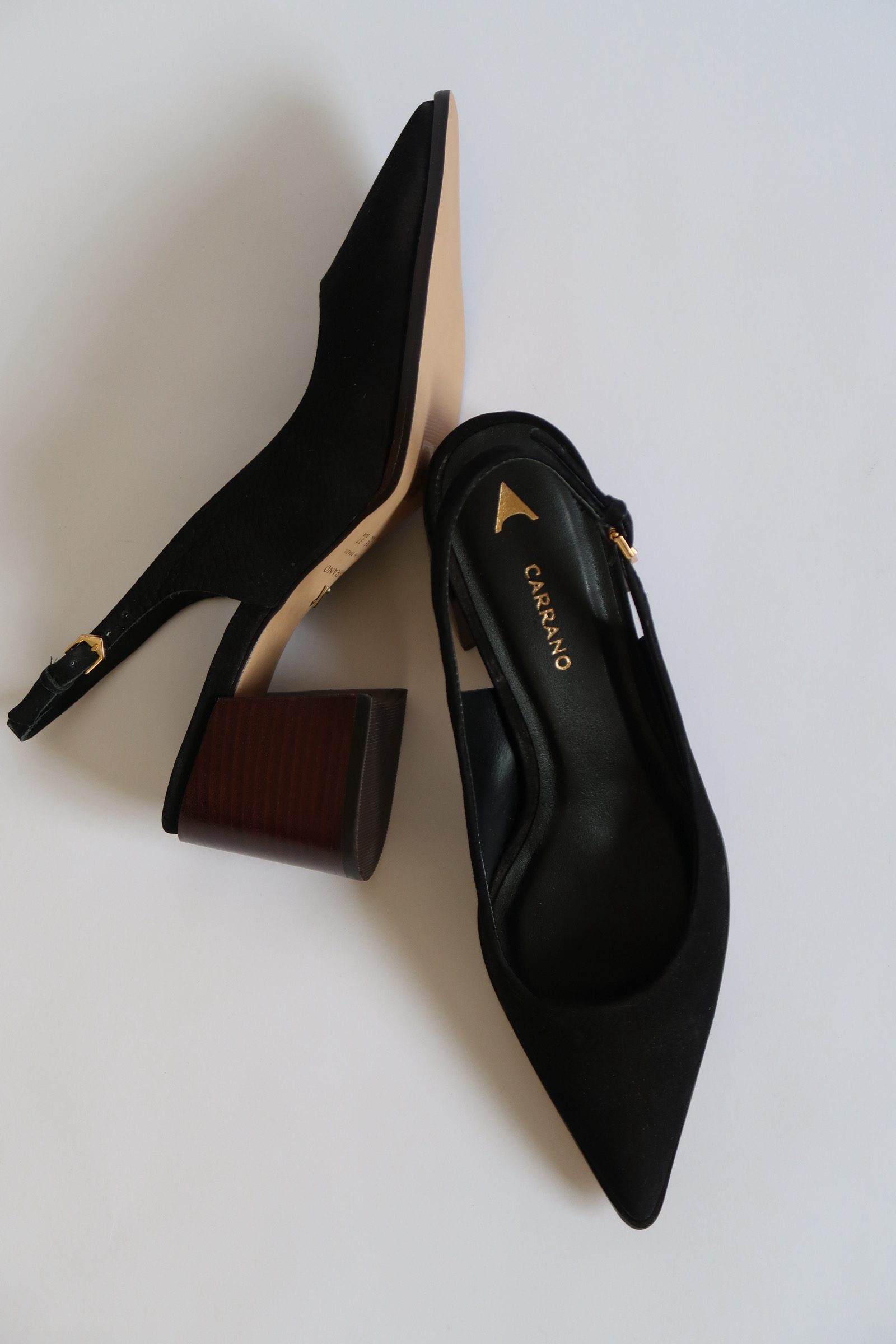 Marni Black