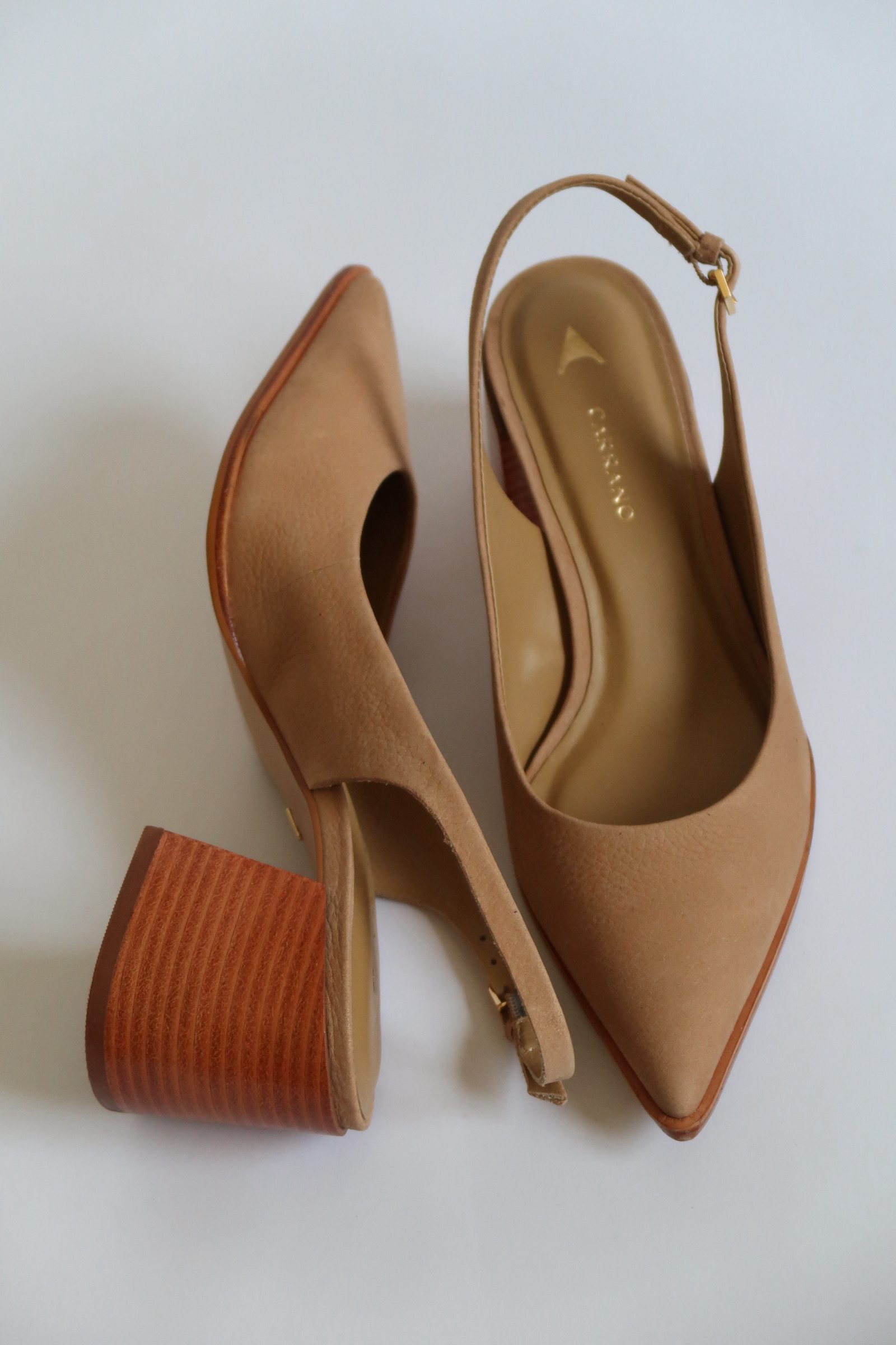Marni Latte