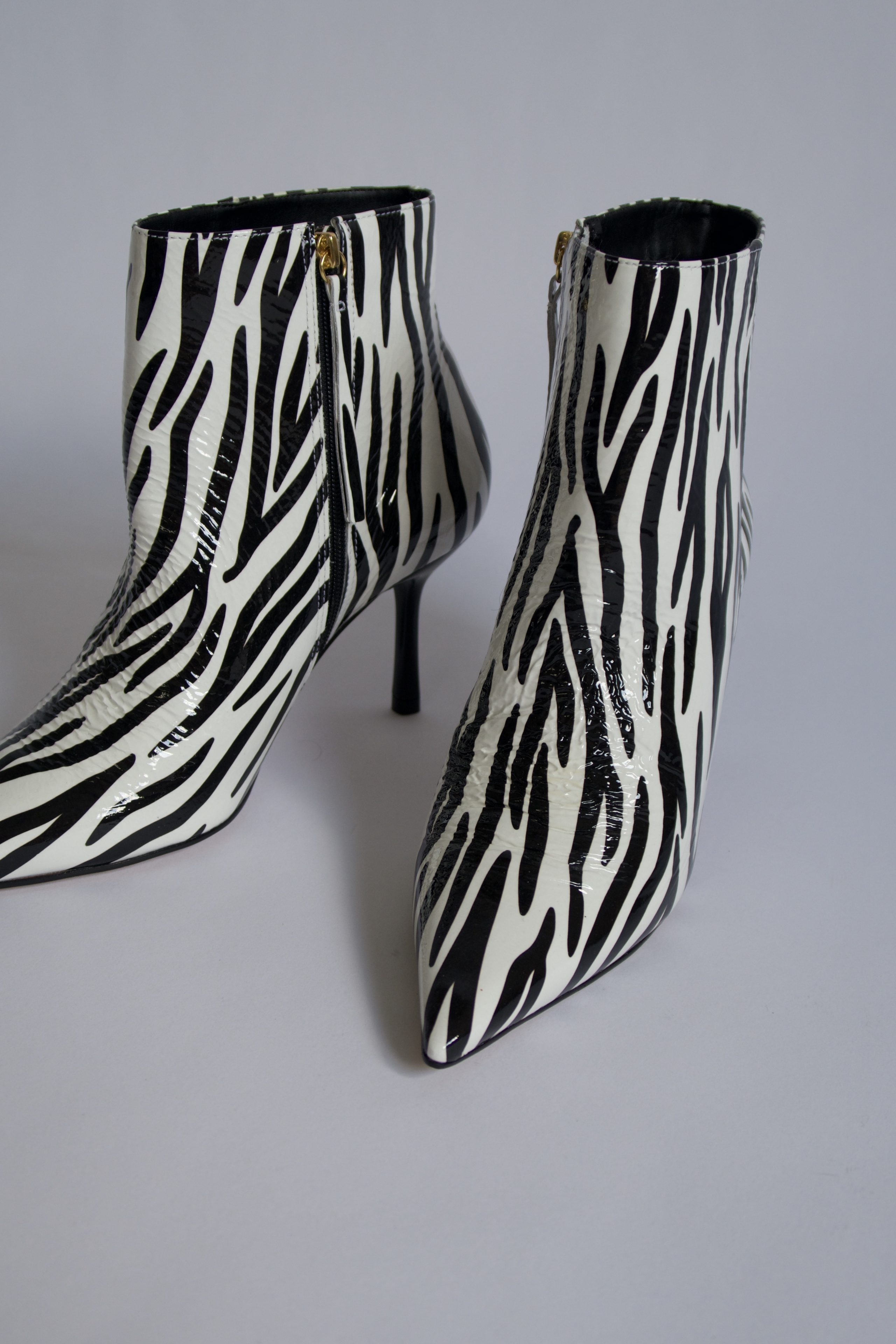 William Zebra