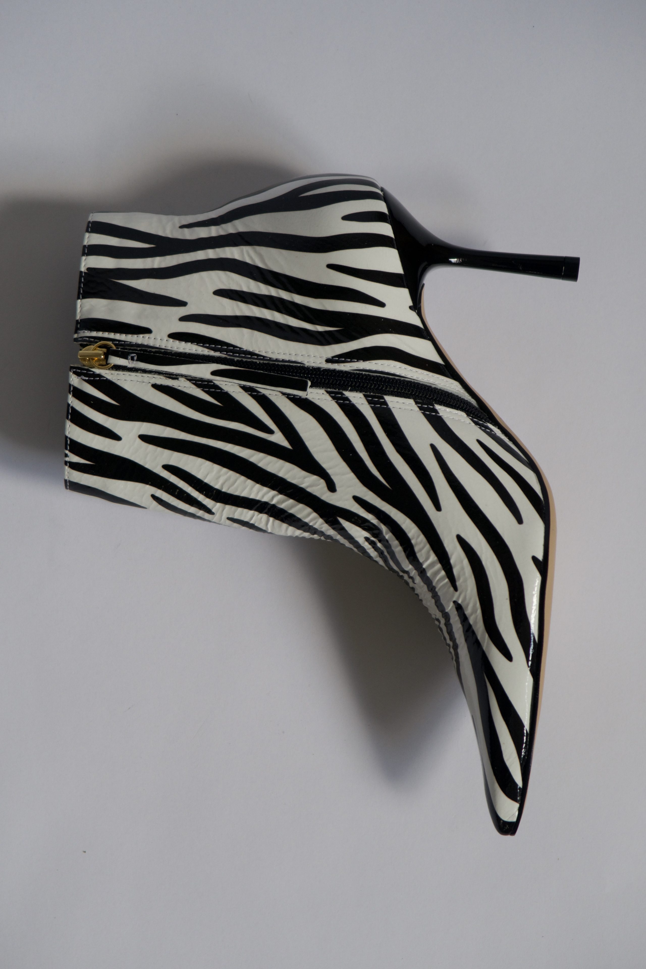 William Zebra