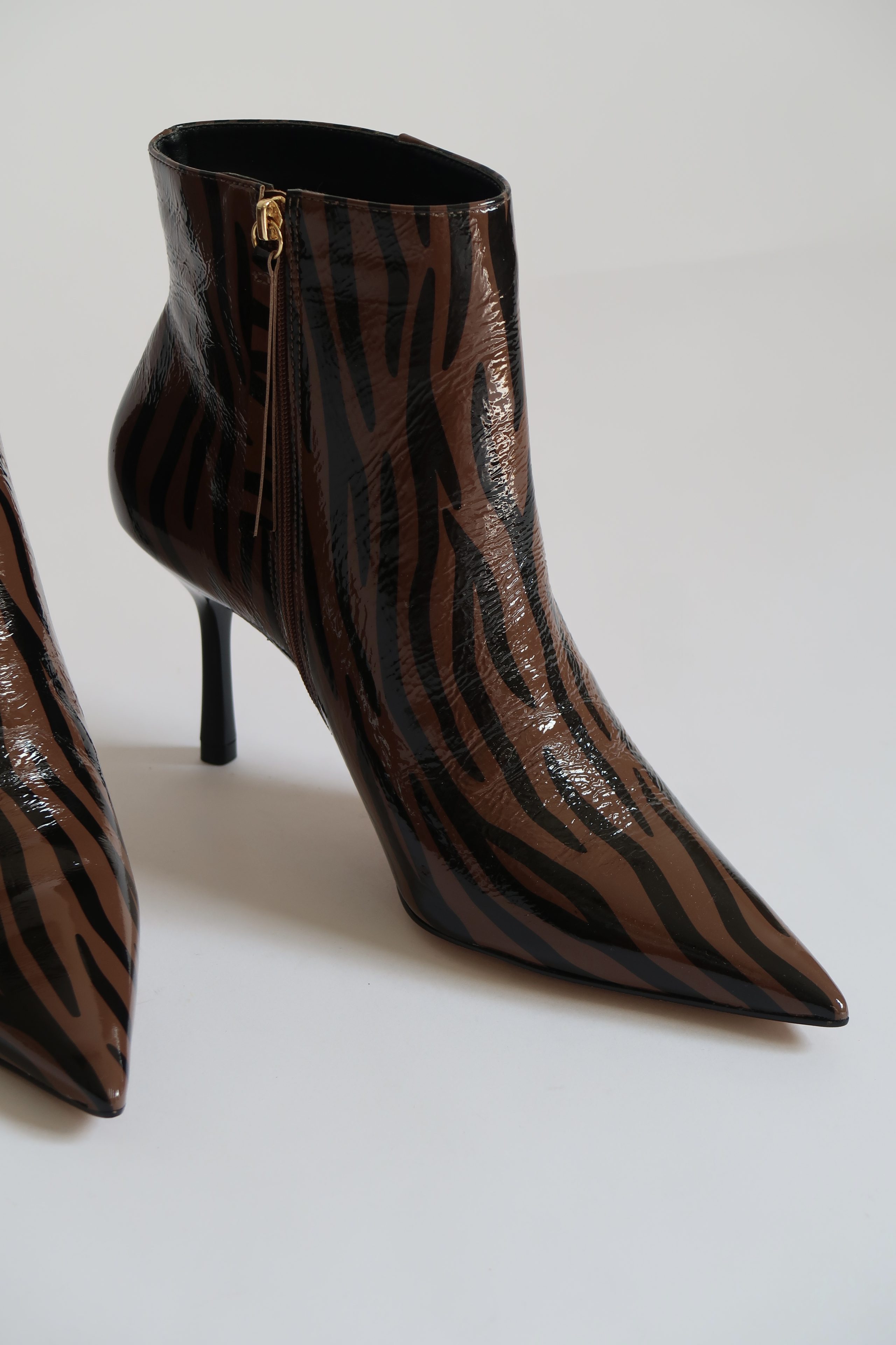William Brown Zebra
