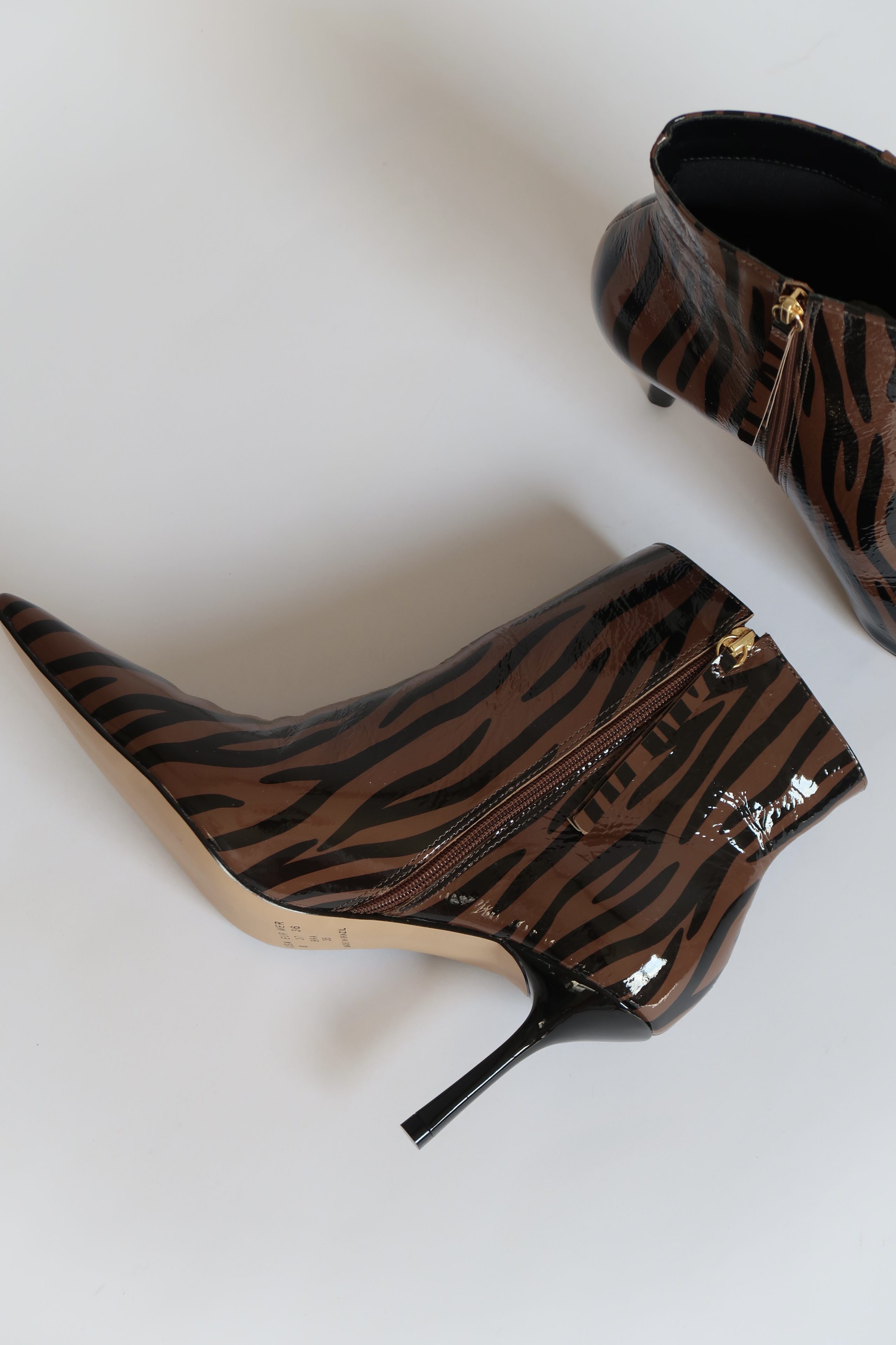 William Brown Zebra