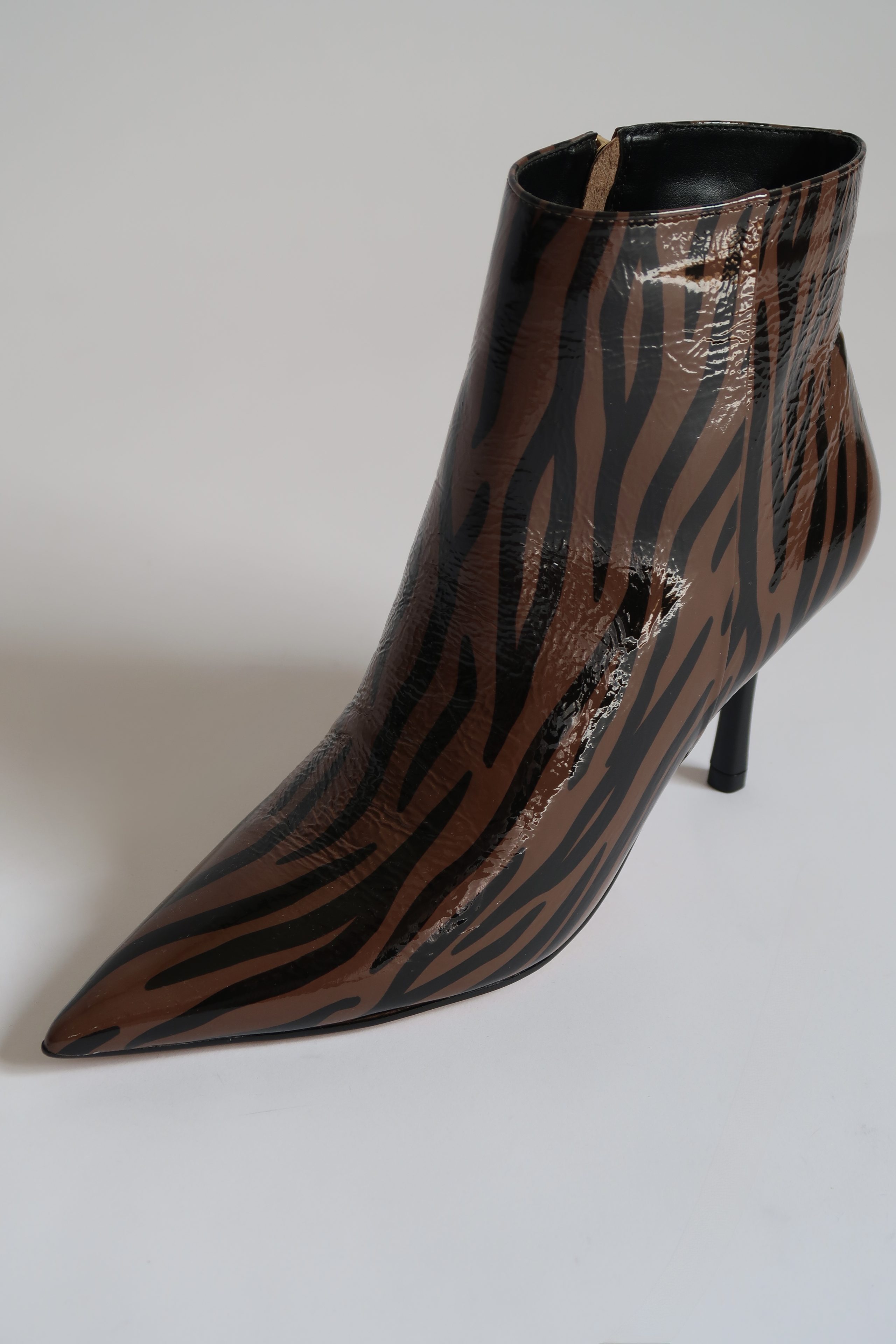 William Brown Zebra
