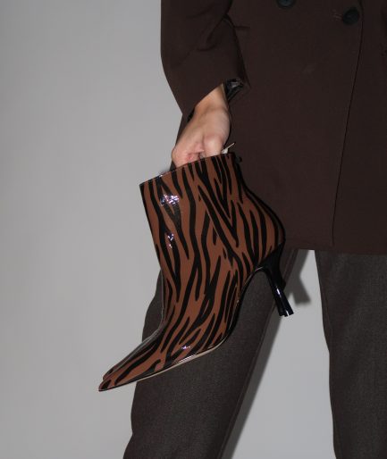 William Brown Zebra