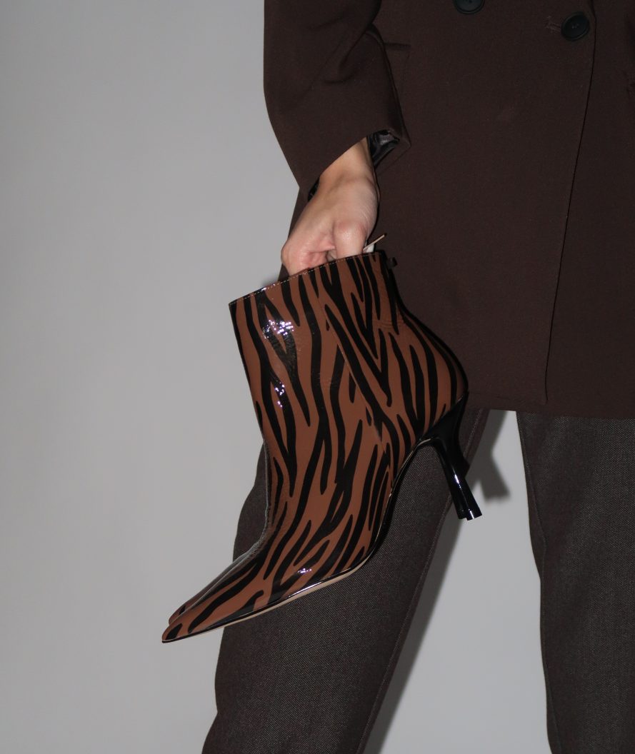 William Brown Zebra