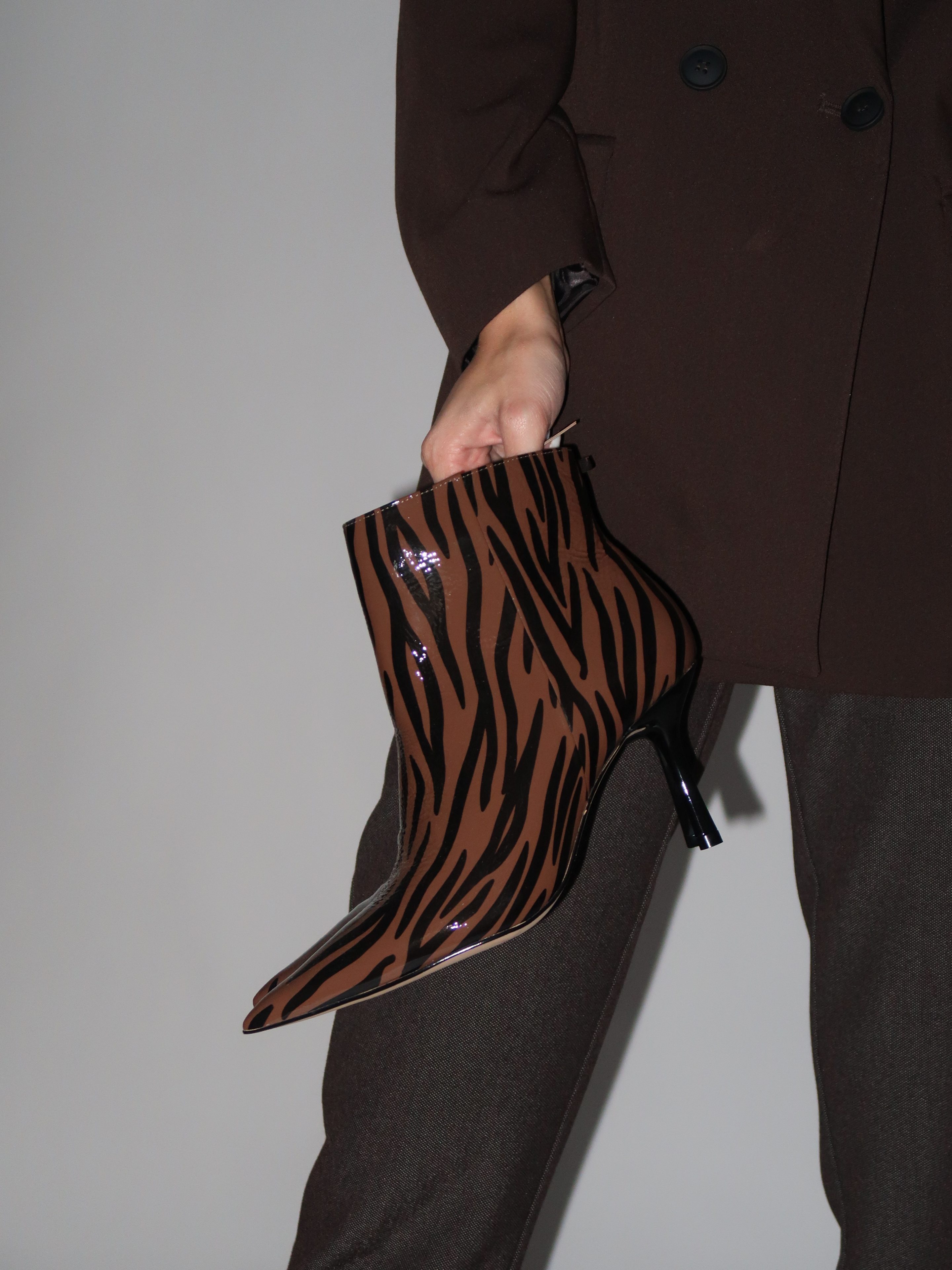William Brown Zebra