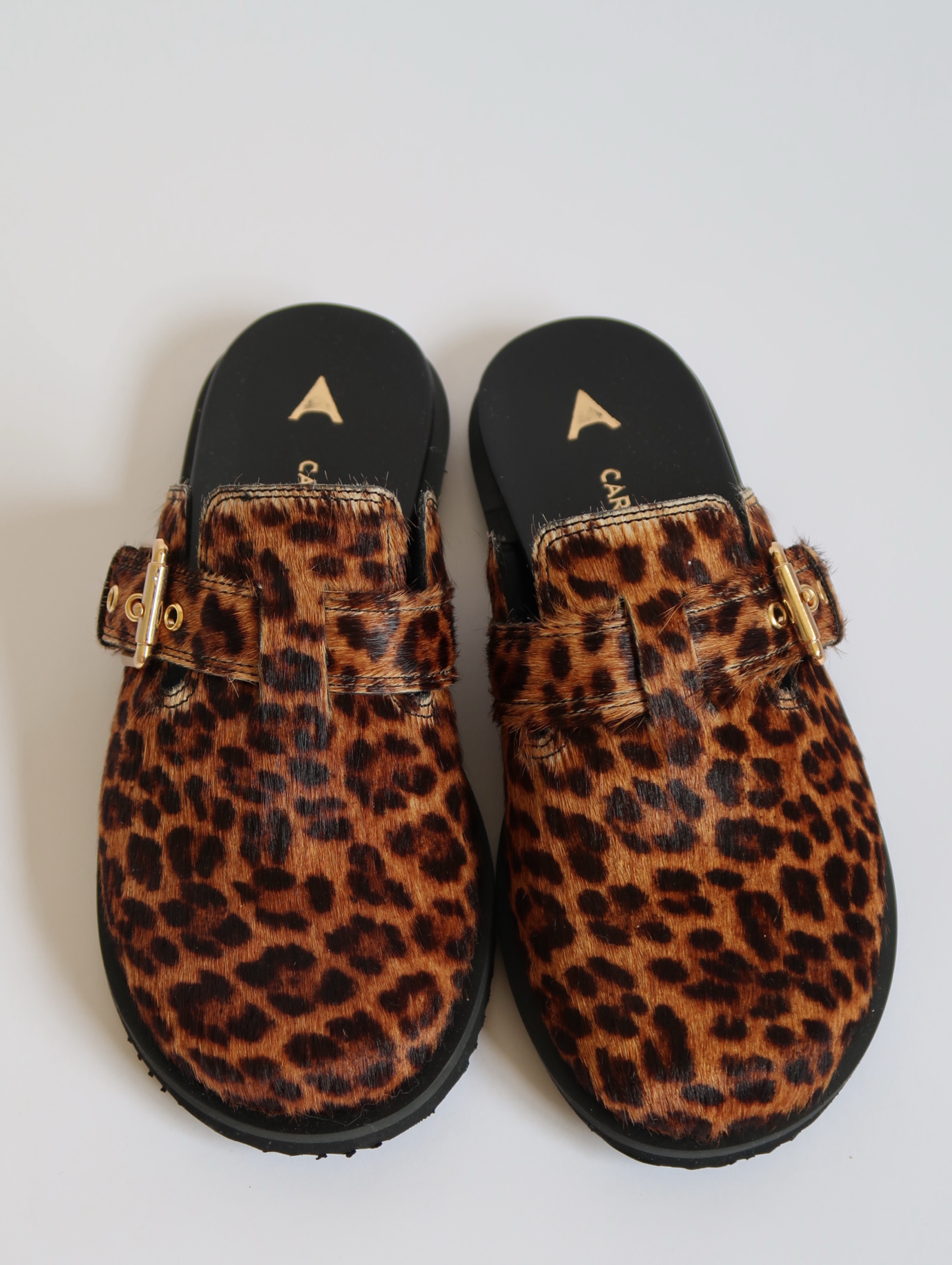 Bertha Leopard