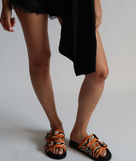 Ellie Zebra Neon