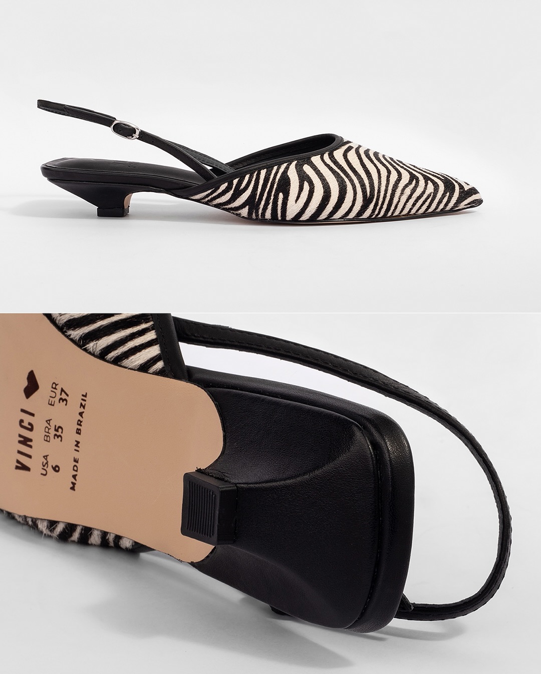River Zebra