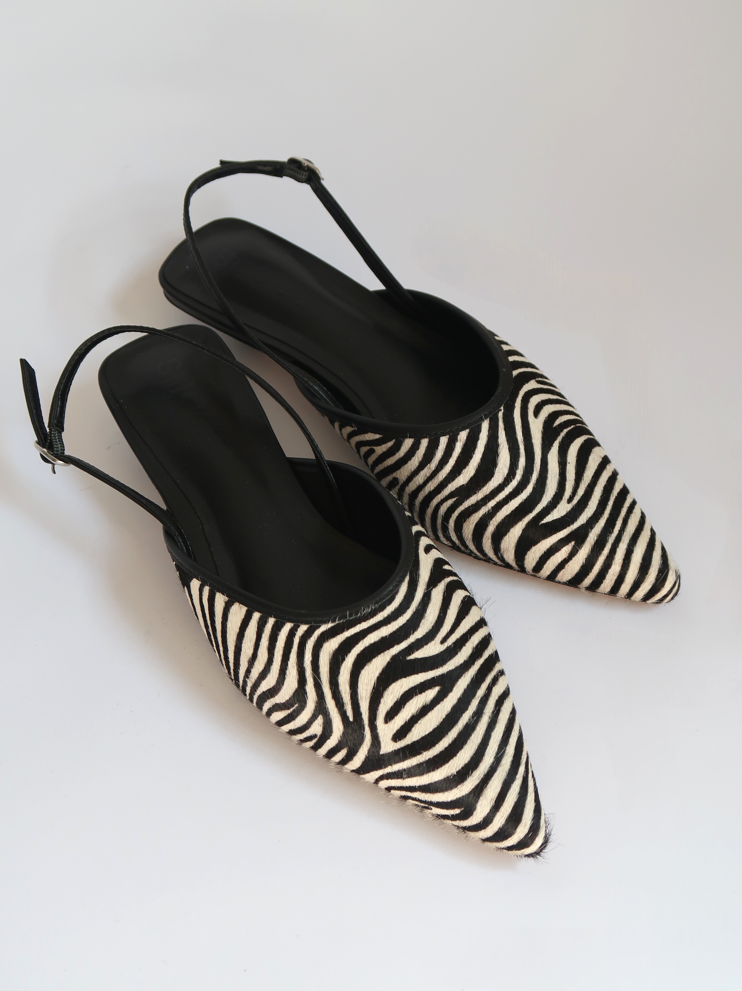 River Zebra