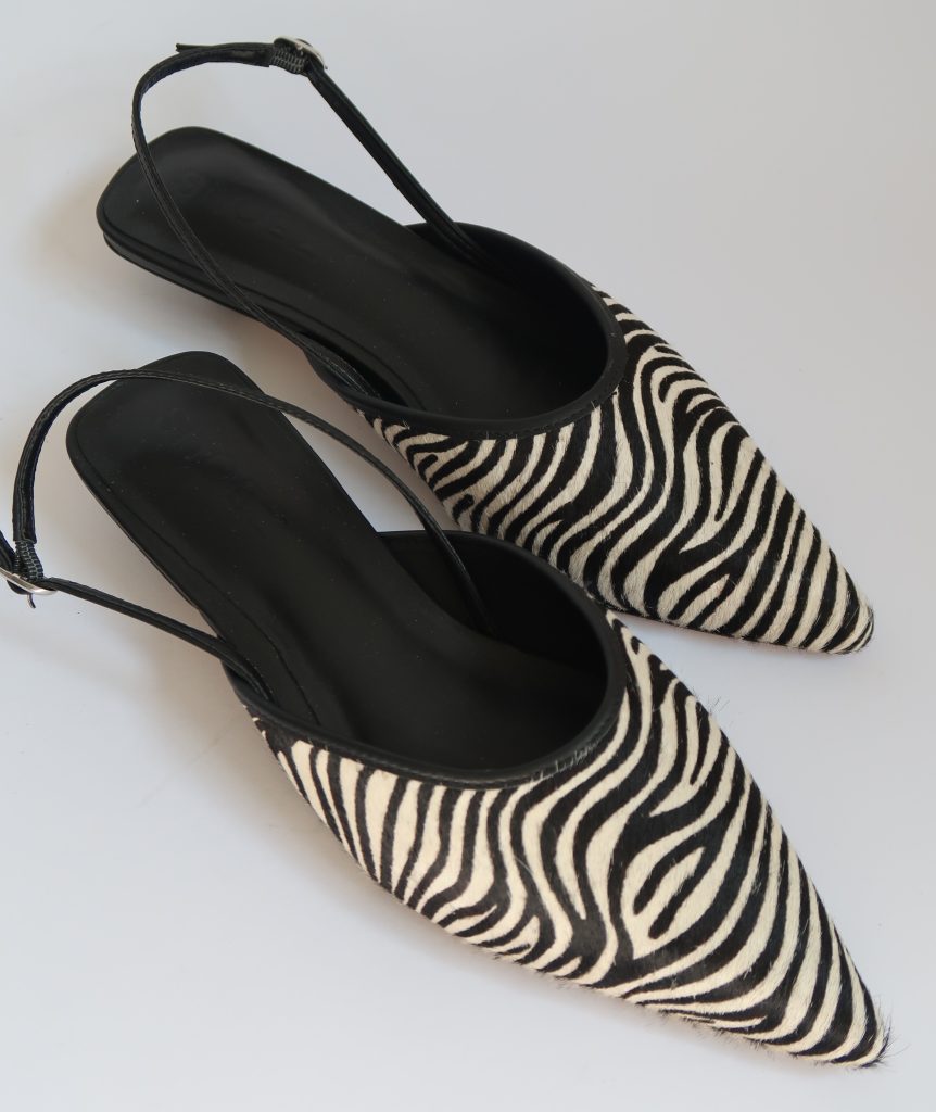 River Zebra