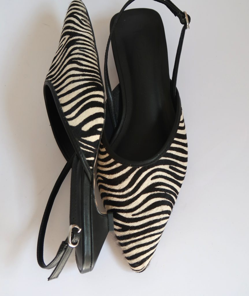 River Zebra