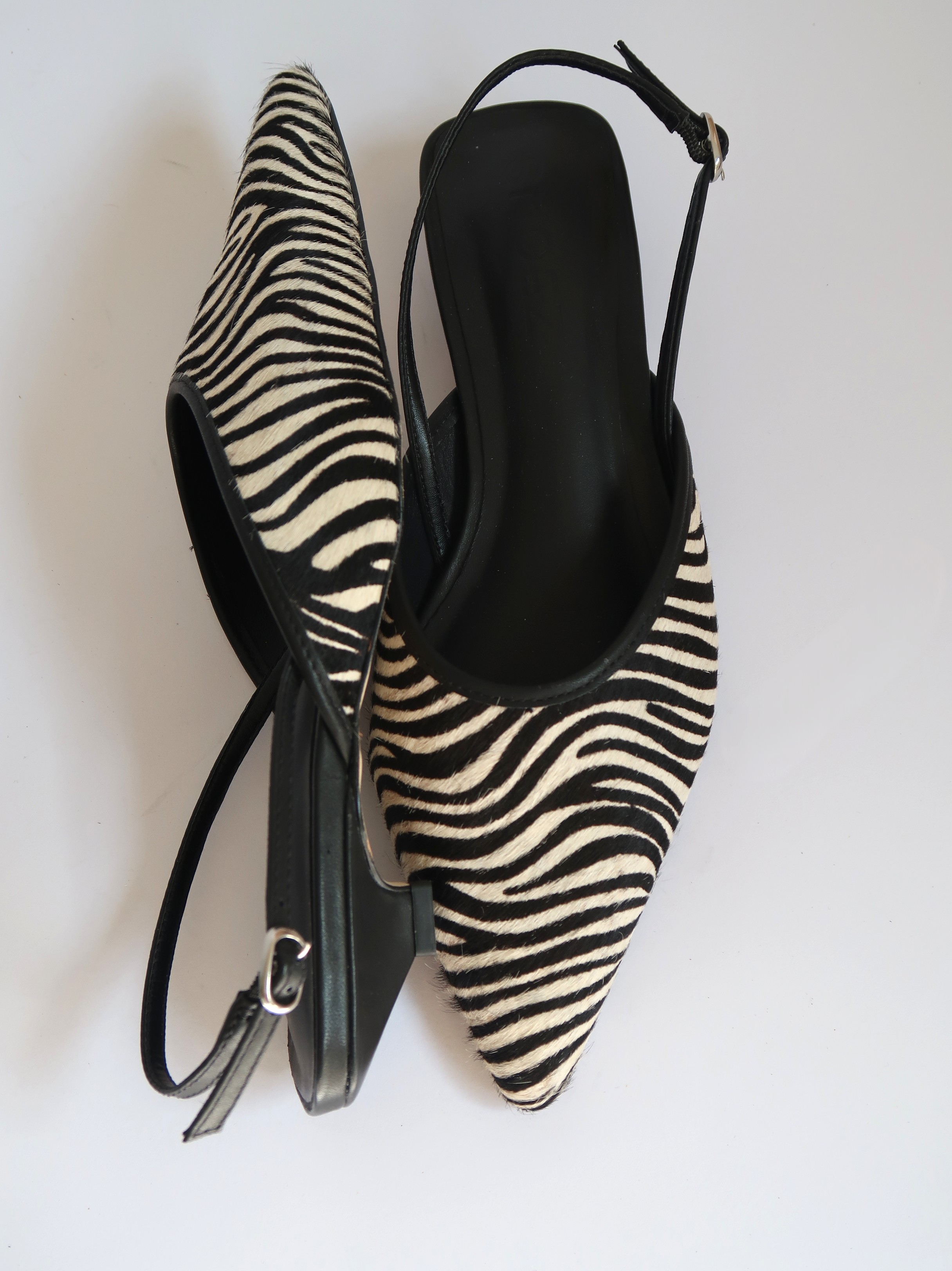 River Zebra