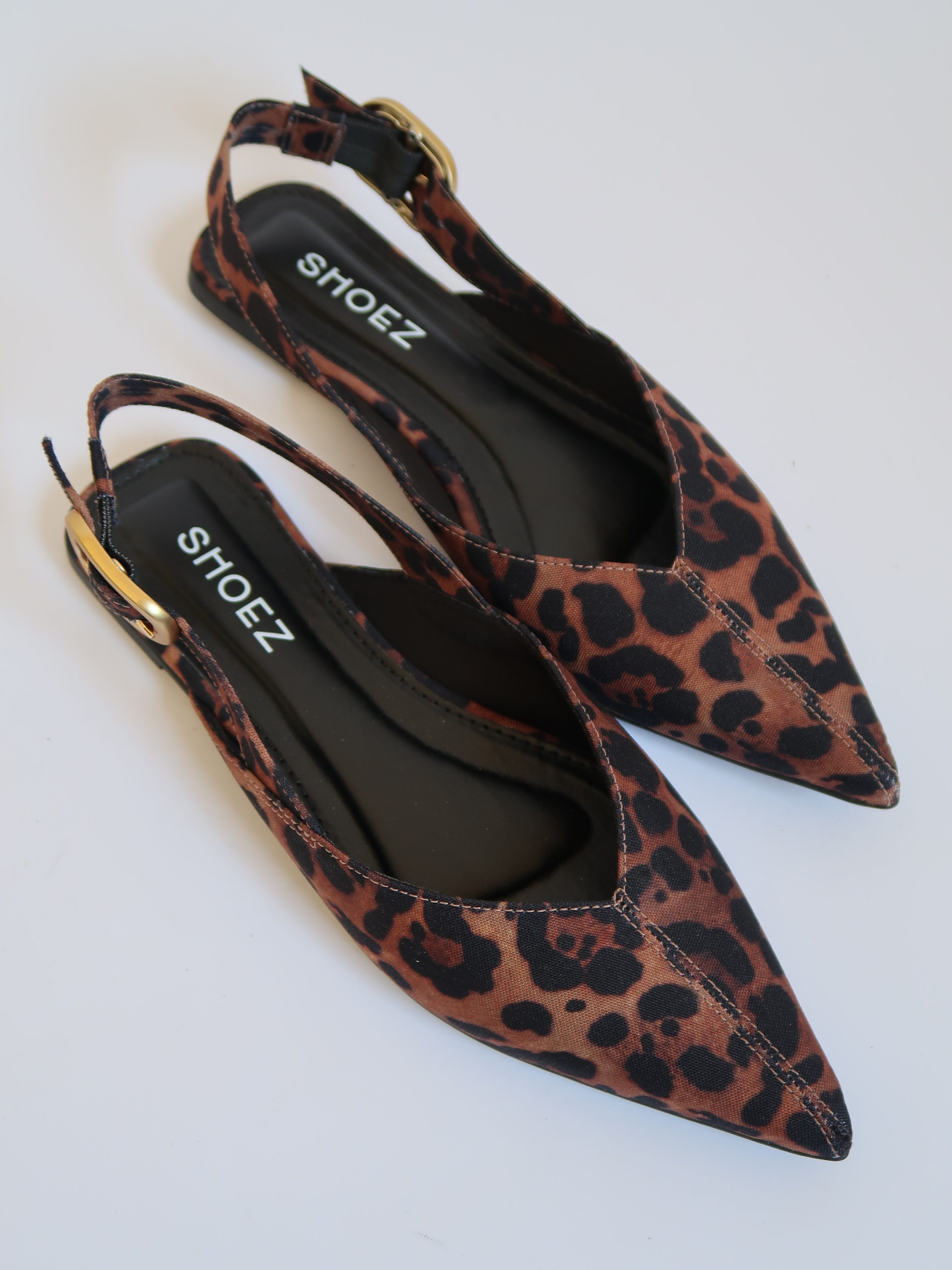 Paloma Leopard