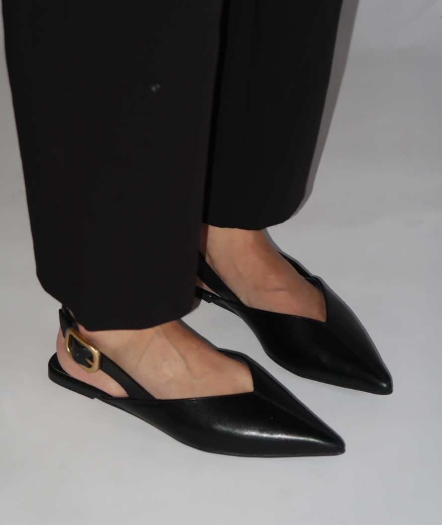 Paloma Black